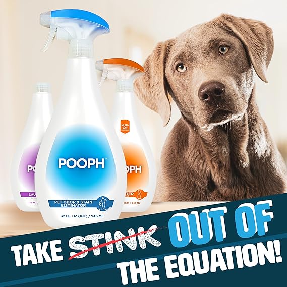 Pooph Pet Odor Eliminator – 32oz Spray, Dismantles Odors, Safe for Dogs, Cats & Furniture